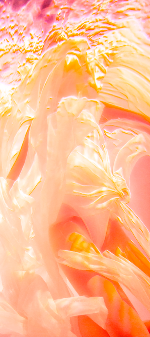 Golden Rust №1